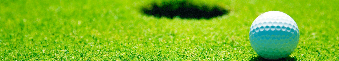 GOLFSOLUTION.ORG